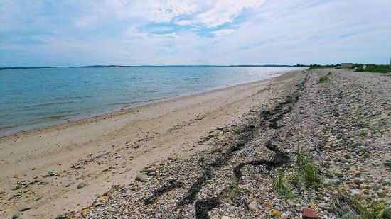Cedar Point County Park